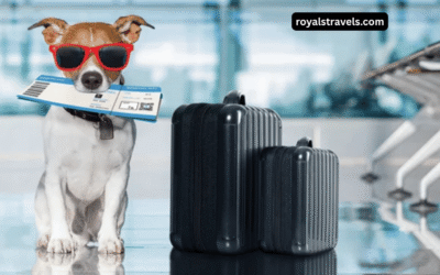 How to Travel with Pets