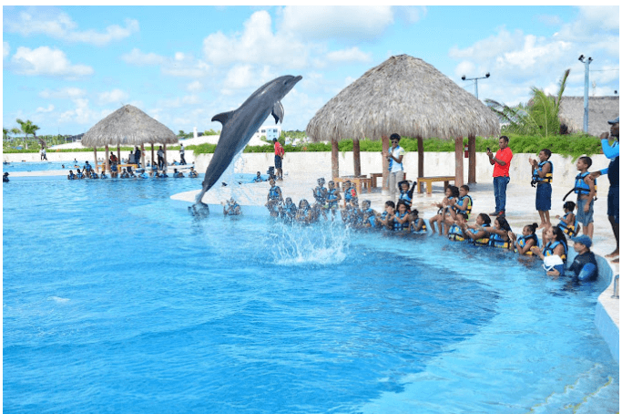 Unforgettable Activities and Excursions in Punta Cana: A Traveler’s Guide