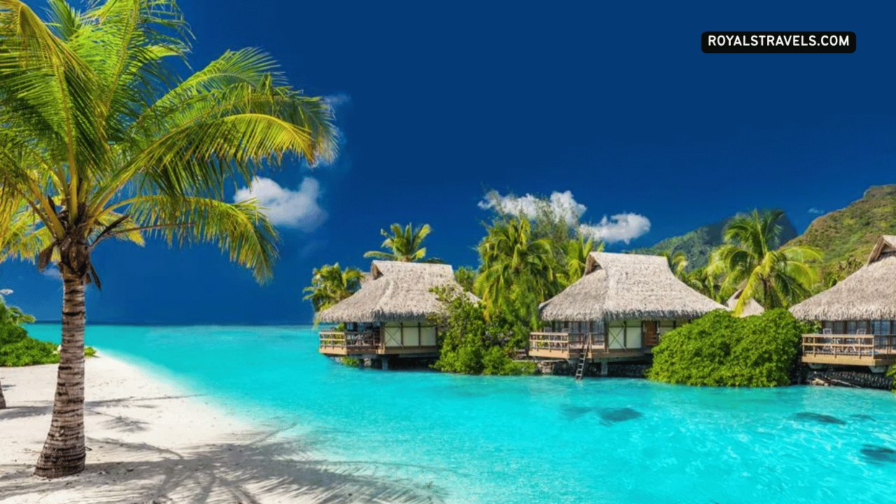 Tropical beach in Fiji – turquoise waters and palm trees