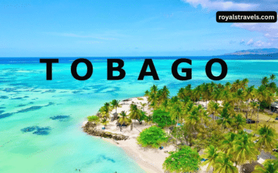 Take A Tobago Vacation