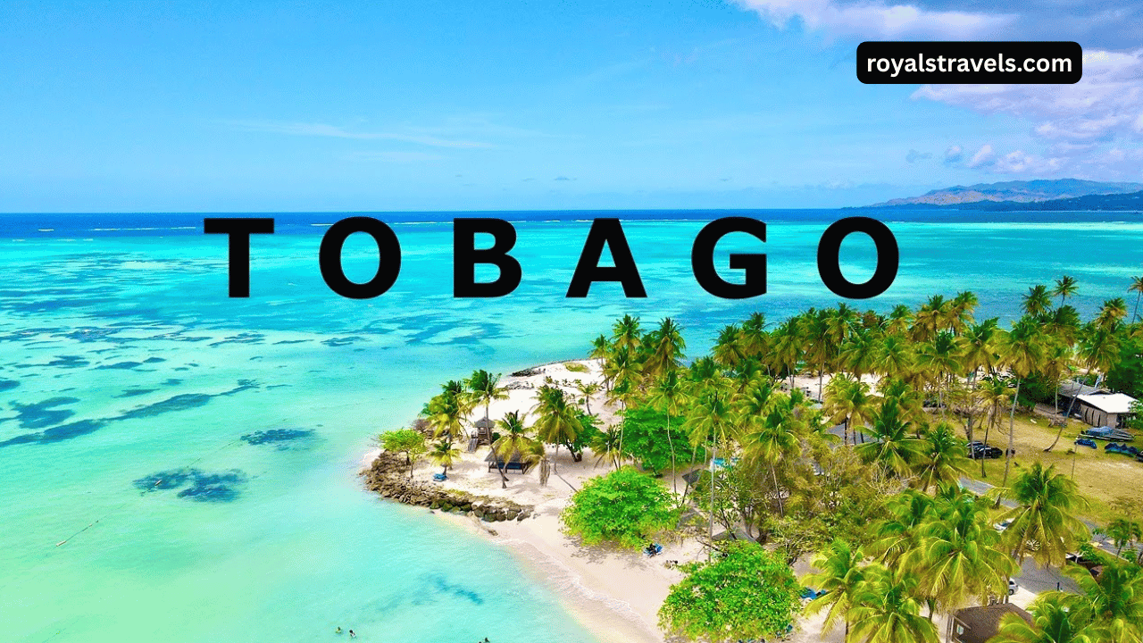 Crystal-clear waters and white sandy beach in Tobago at Pigeon Point