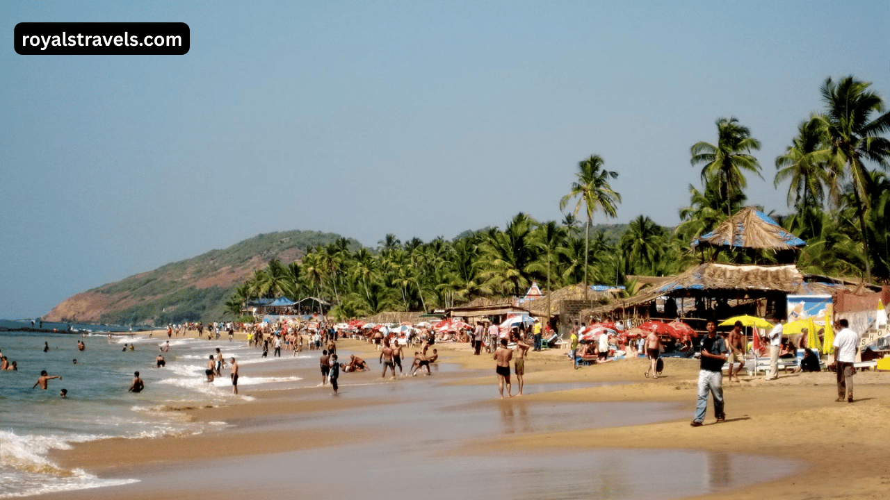 Secluded sandy beach in Goa with turquoise water and palm trees - unofficial nudist-friendly shoreline for adults