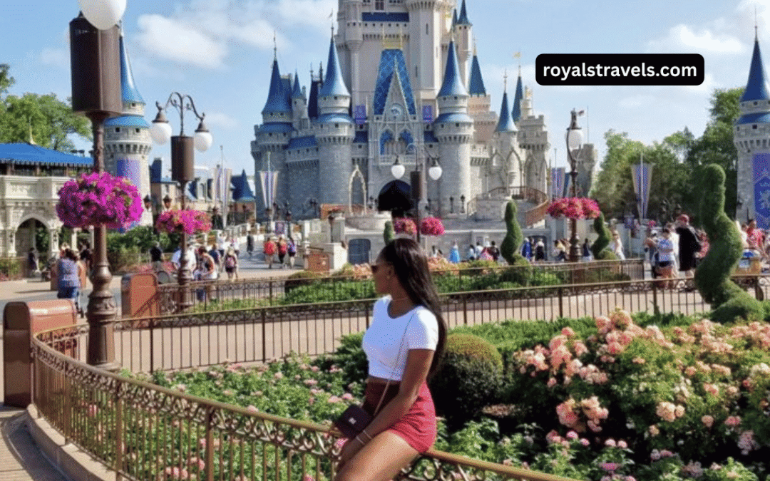 Disney World: Guide to Making Your Dreams Come True!