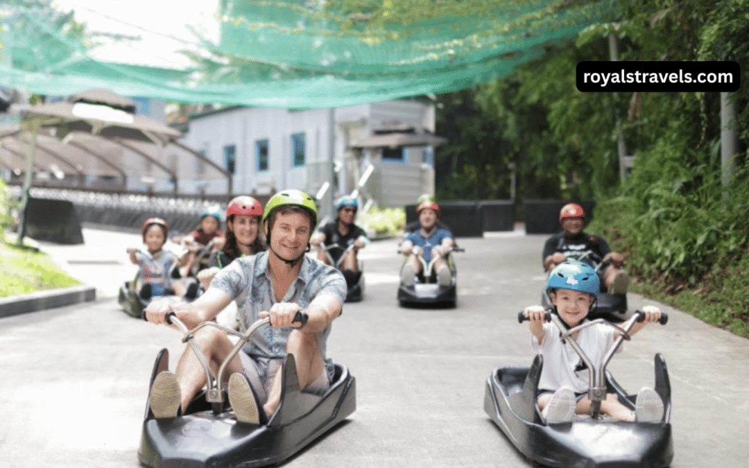 Kid-Friendly New Zealand: 6 Things to See and Do