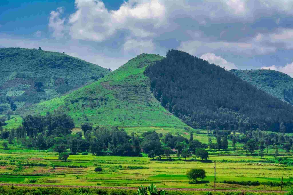 Araku-Valley