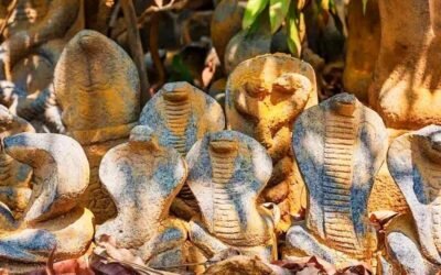 Mannarasala Sree Nagaraja Temple Kerala – A Sacred Journey Into Kerala’s Ancient Serpent Worship Tradition