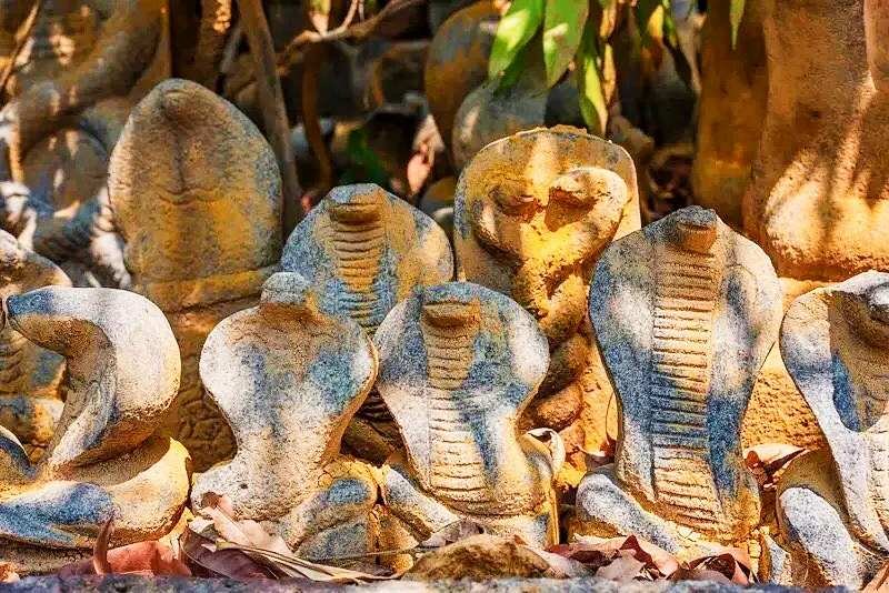 Mannarasala Sree Nagaraja Temple Kerala – A Sacred Journey Into Kerala’s Ancient Serpent Worship Tradition