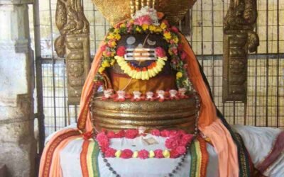 Jambukeswarar Temple Tiruchirapalli – Sacred Water Temple of Tamil Nadu