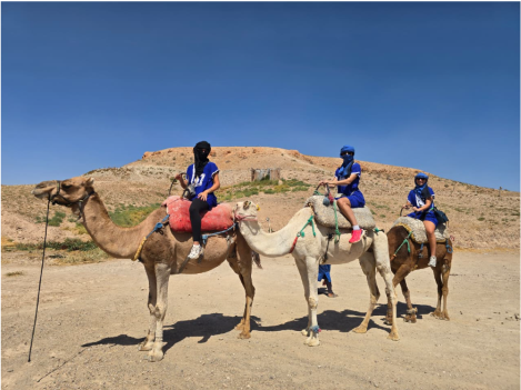 Marrakech to Moroccan desert journey through mountain landscapes