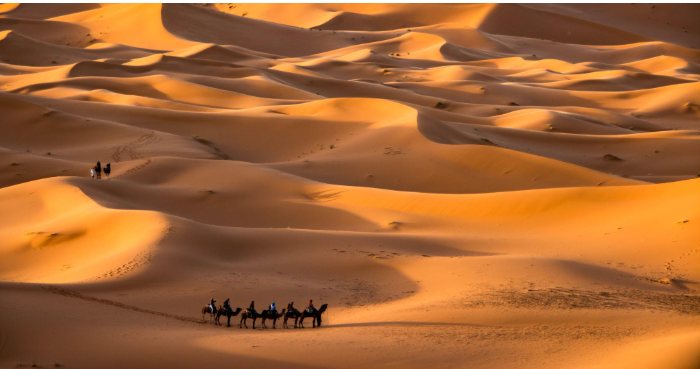 Luxury desert camp tents surrounded by the golden Erg Chebbi sand dunes in Merzouga, Morocco.